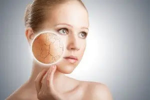 Skin Profiles: Dry Skin Repêchage®
