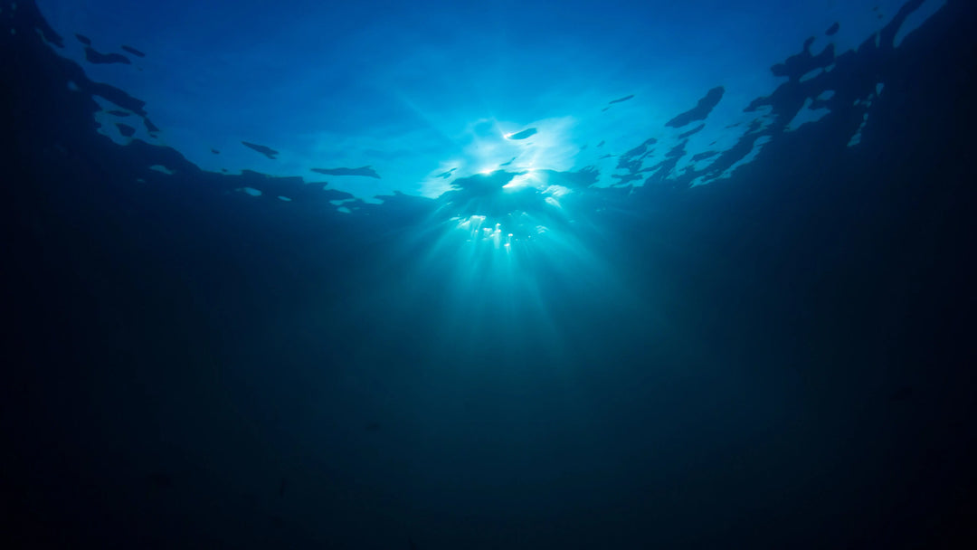What is Blue Beauty? The Complete Guide to Ocean Skincare Trends in 2025 Repêchage®