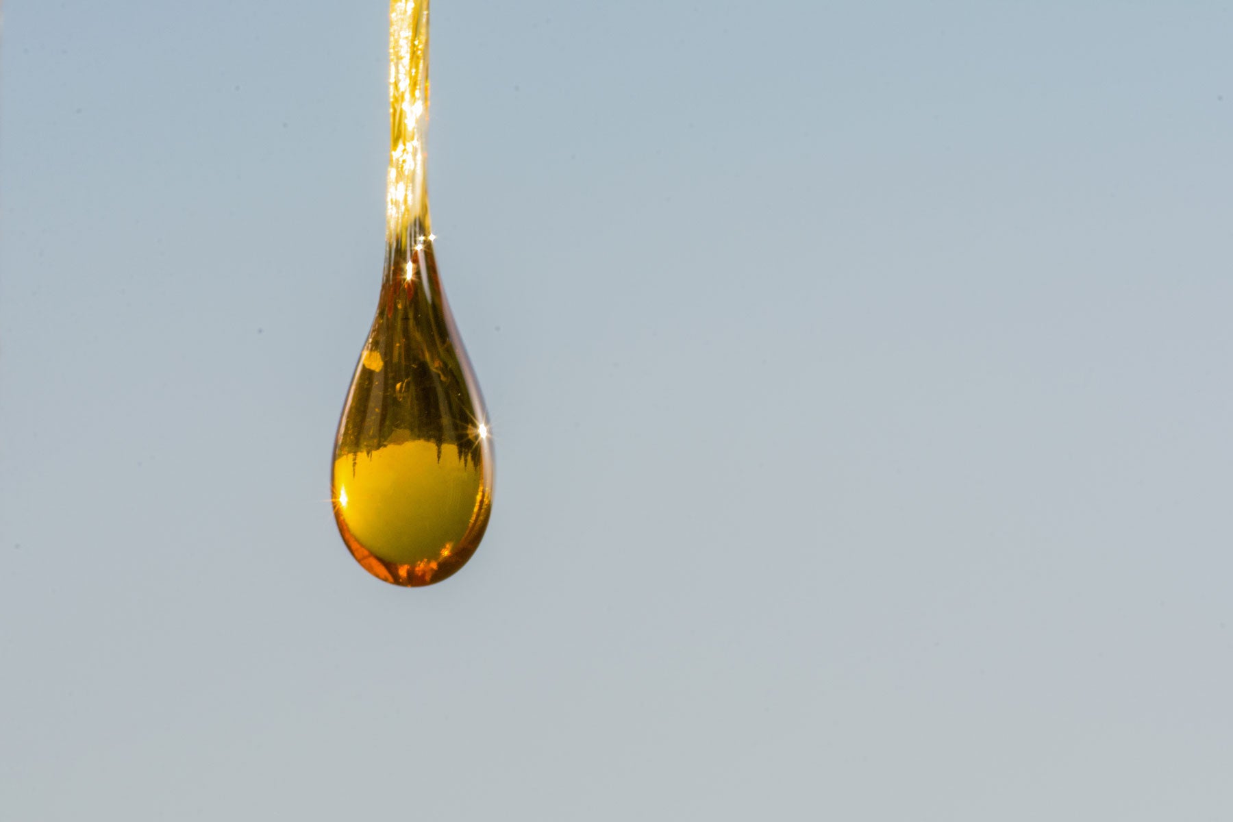 Ingredient Spotlight - Hemp Seed Oil