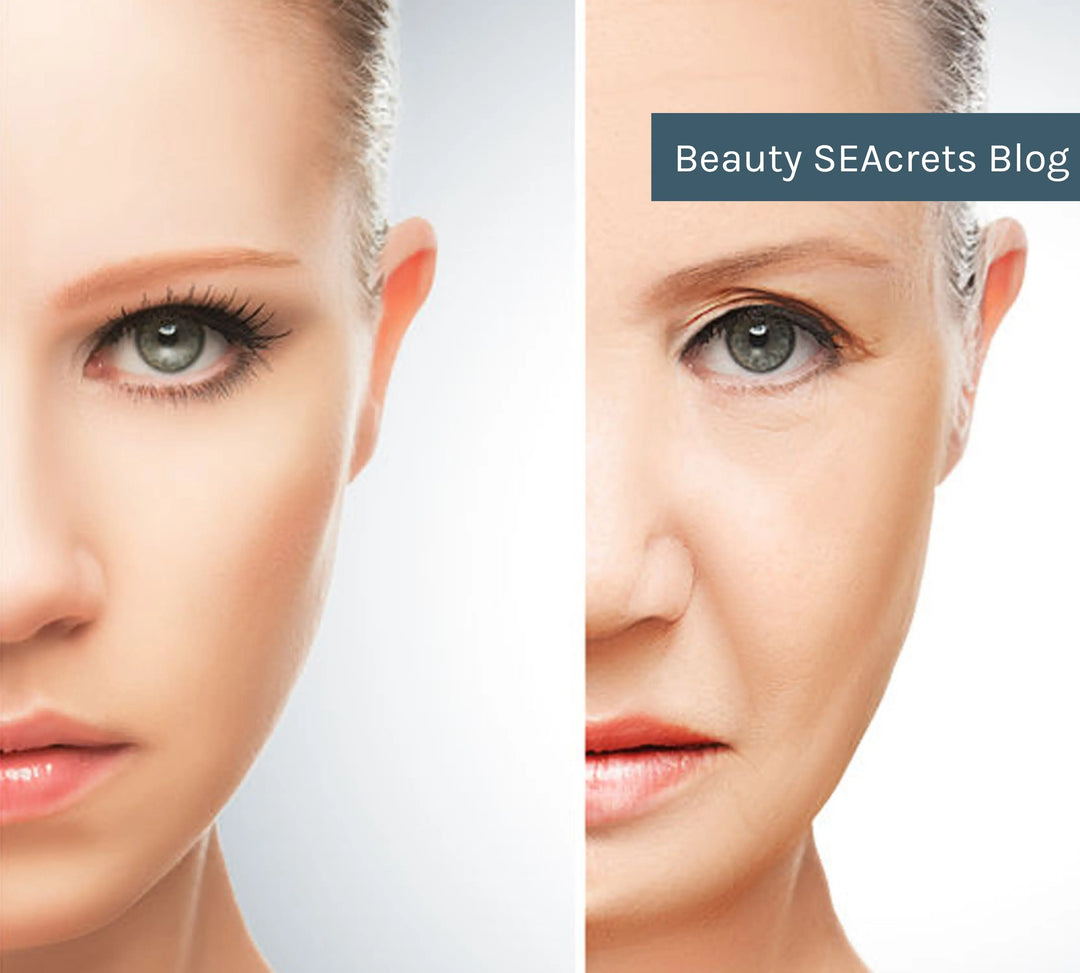 Skin Aging 101: What Happens at Each Decade? Repêchage®
