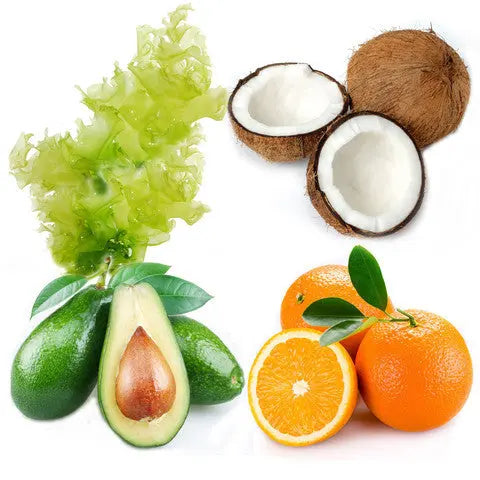 Ingredients for Dry and Dehydrated Skin Repêchage®