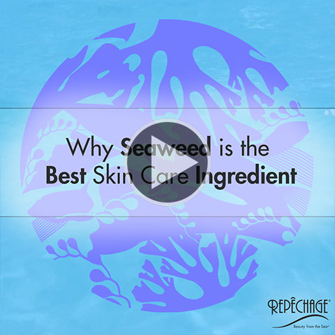 Why Seaweed Is The Best Skin Care Ingredient