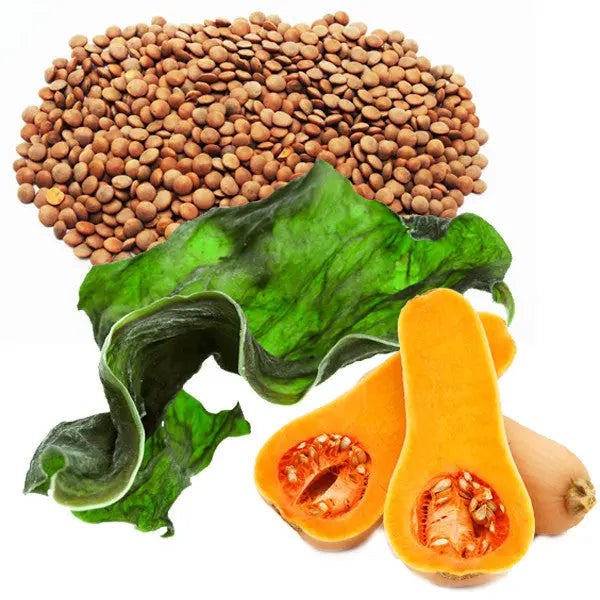 Happy New Year! Time To Detox Repêchage®