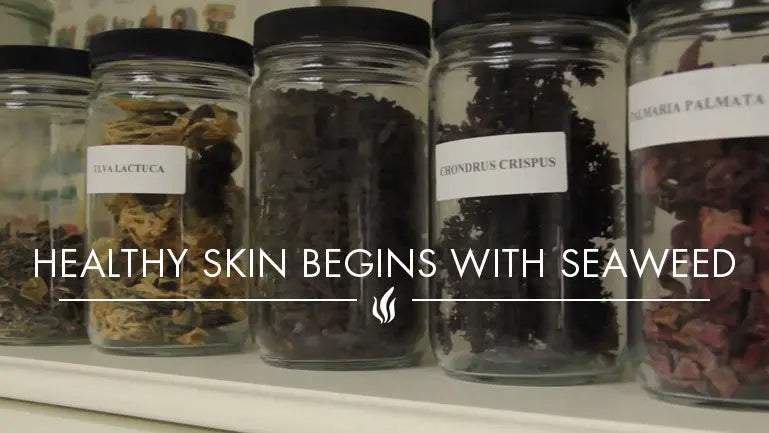 Repêchage - Healthy Skin Begins With Seaweed Repêchage®