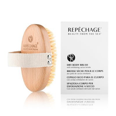 Dry Body Brush and packaging box